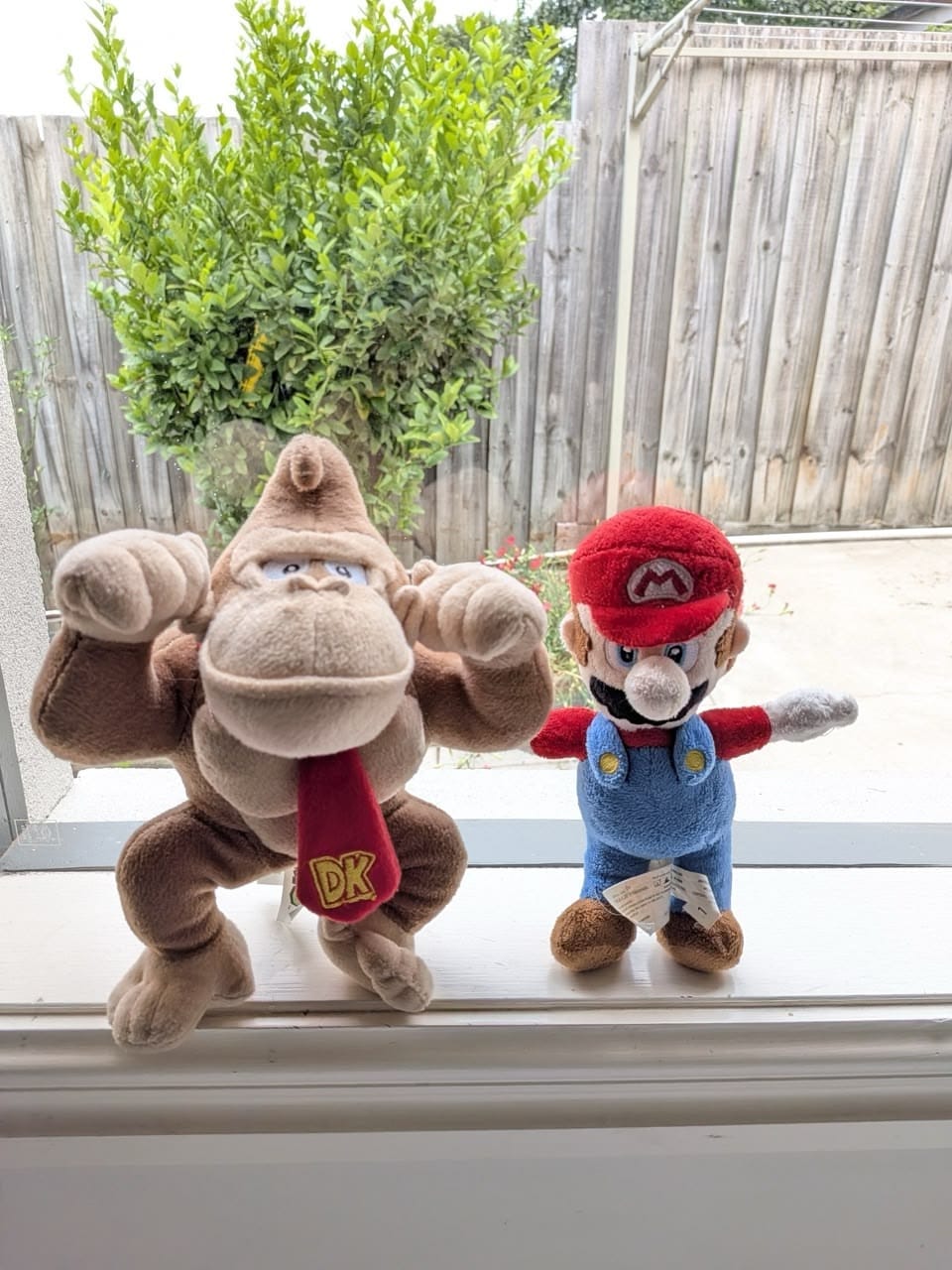 Day Seven of 2026: Morning walk with a pleasant surprise