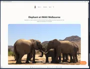 My Vivaldi setup on Windows