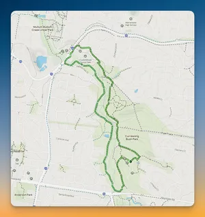 Hike at  Mullum Mullum Creek Trail Loop