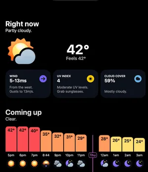 Day Seven of 2026: Morning walk with a pleasant surprise